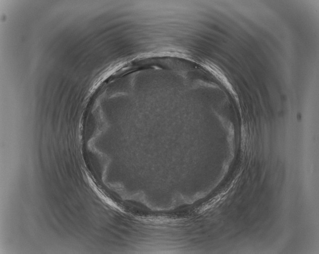 X0000085260389200703231721