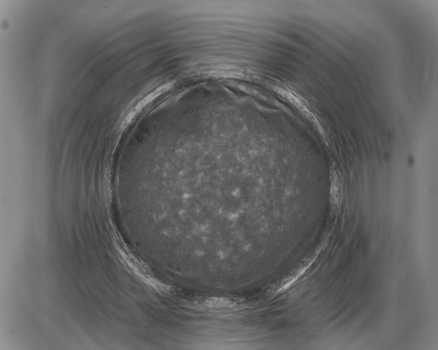 X0000085260390200703231721