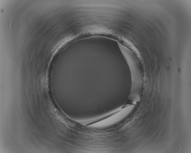 X0000085260391200703231721