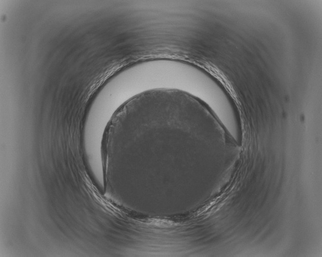 X0000085260393200703231721