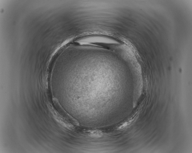 X0000085260395200703231720