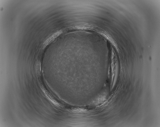 X0000085260397200703231720