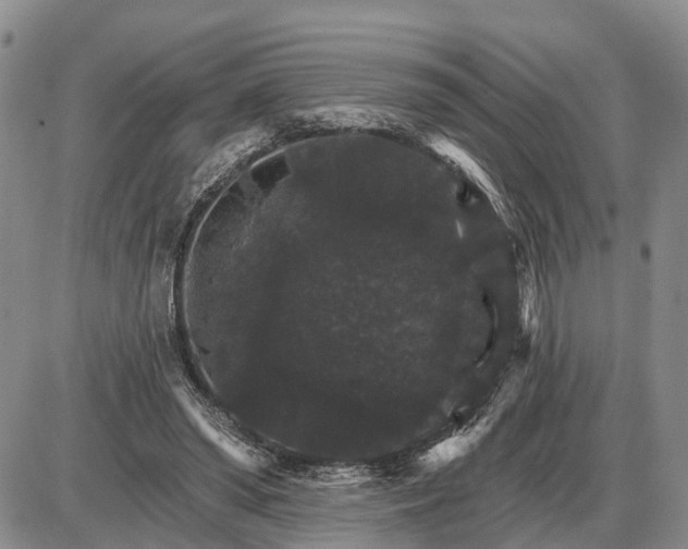 X0000085260398200703231720