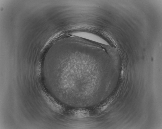 X0000085260400200703231720