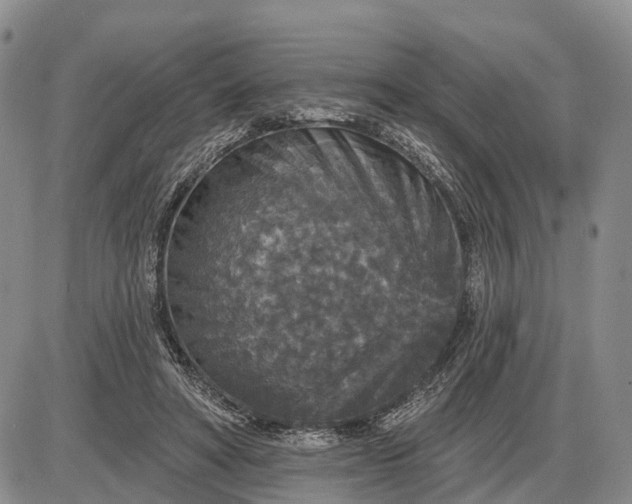 X0000085260402200703231720