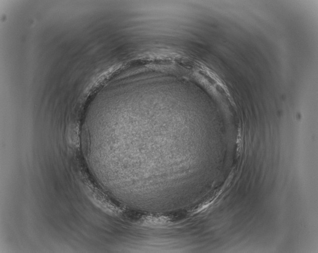 X0000085260403200703231720