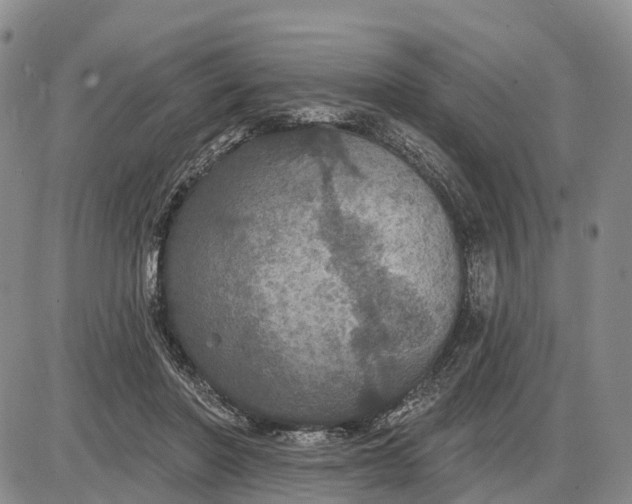 X0000085260406200703231720