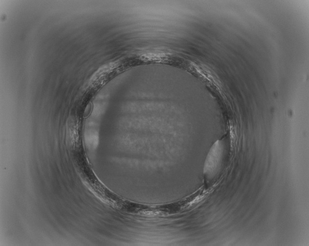 X0000085260408200703231720