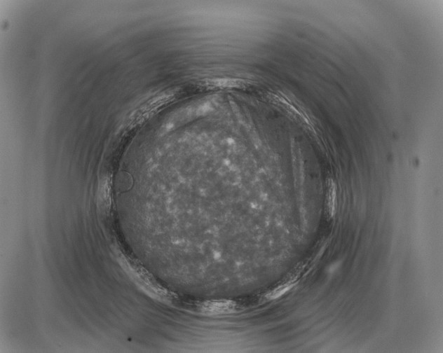 X0000085260410200703231720