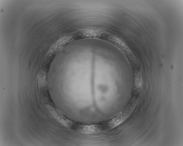 X0000085260411200703231720