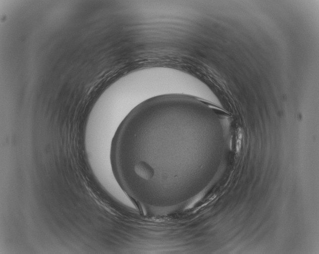 X0000085260412200703231720