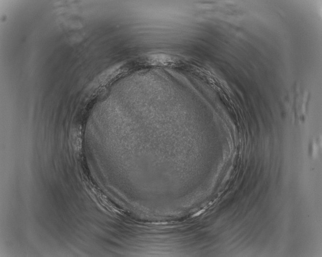 X0000085260413200703231720