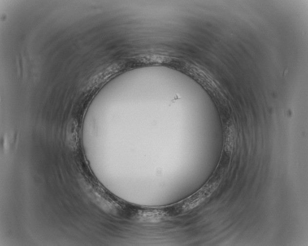 X0000085260414200703231720