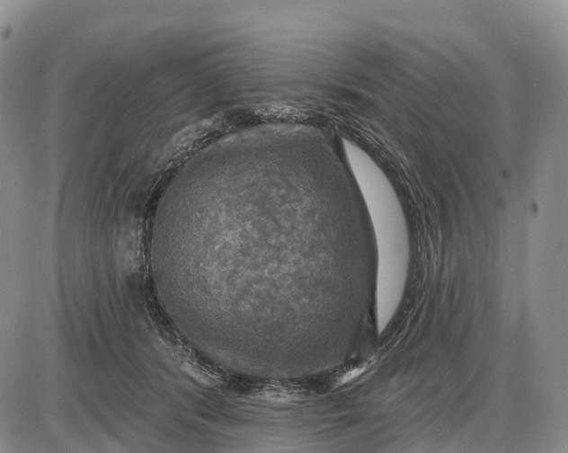 X0000085260416200703231720