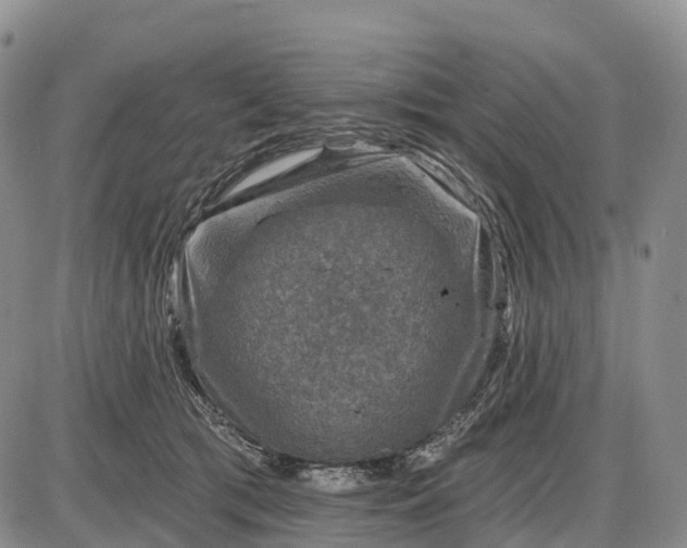 X0000085260417200703231720