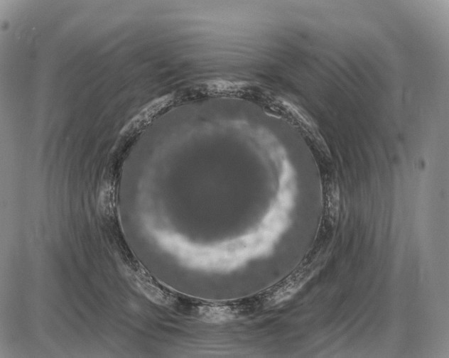 X0000085260419200703231720