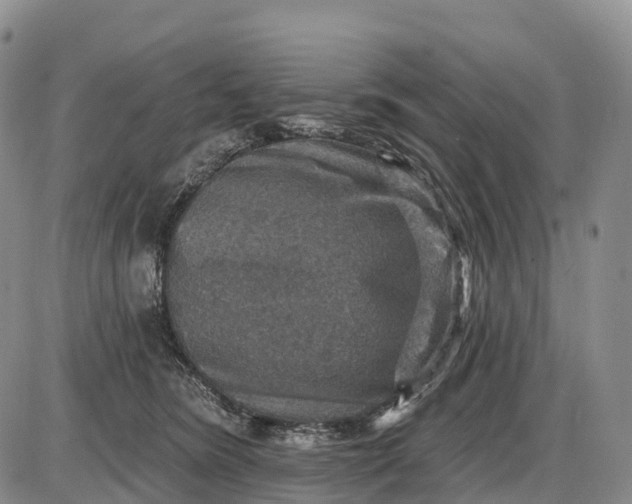 X0000085260420200703231720