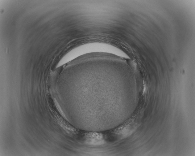 X0000085260421200703231720