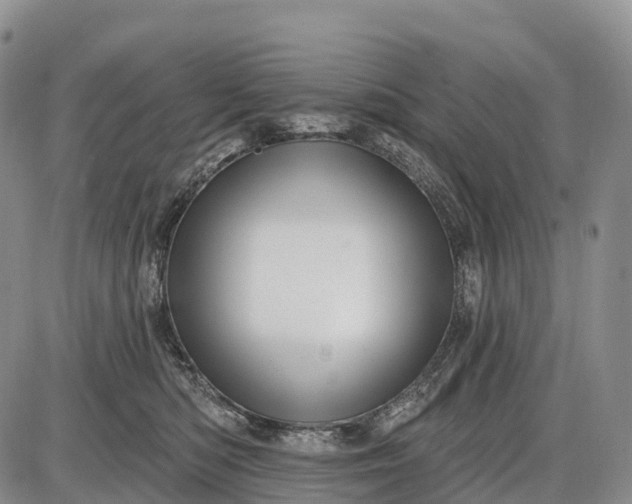 X0000085260422200703231720