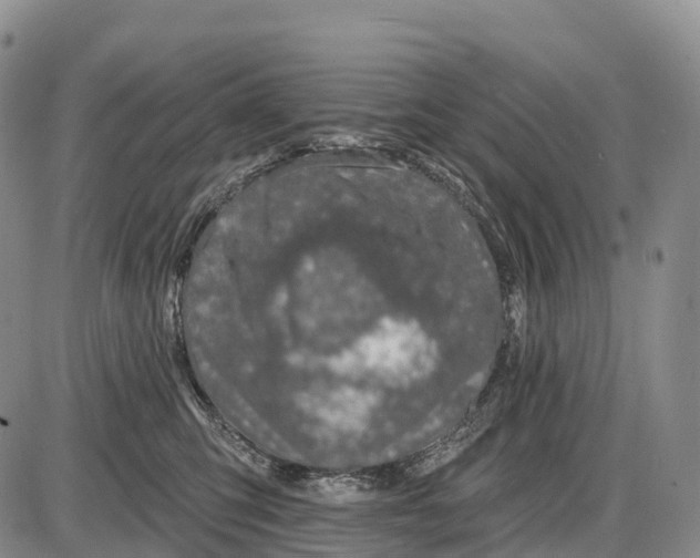 X0000085260423200703231720