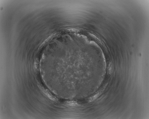 X0000085260424200703231720