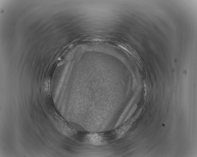 X0000085260425200703231720