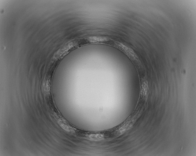 X0000085260426200703231720