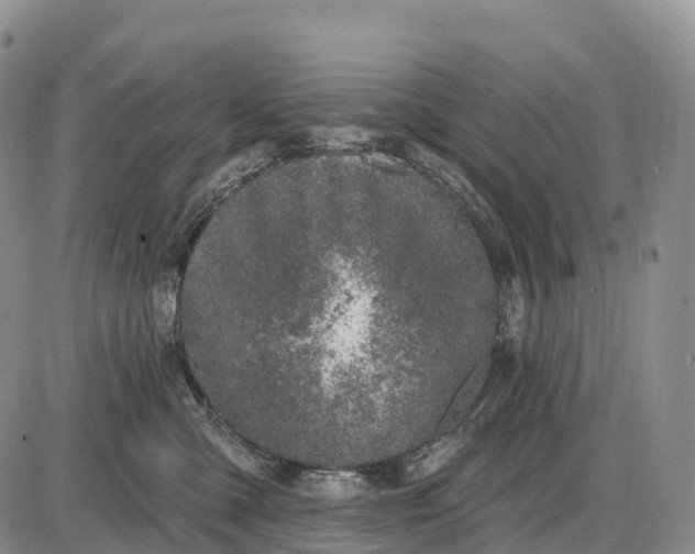 X0000085260427200703231720