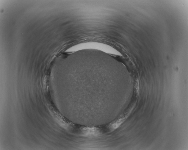 X0000085260428200703231720