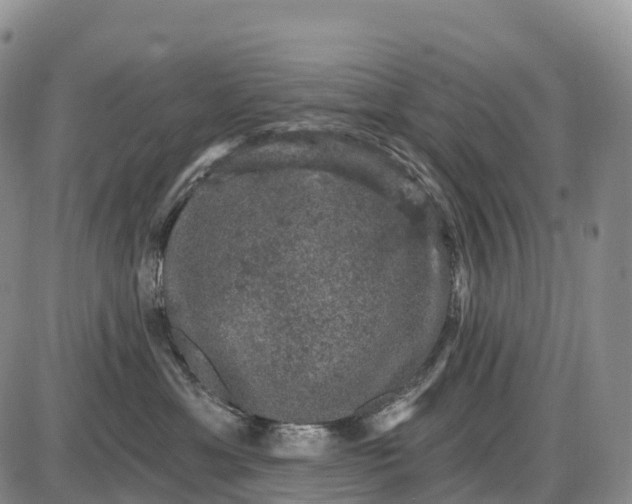 X0000085260429200703231720