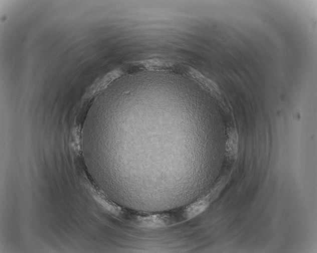 X0000085260430200703231720