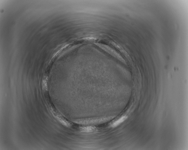 X0000085260432200703231720