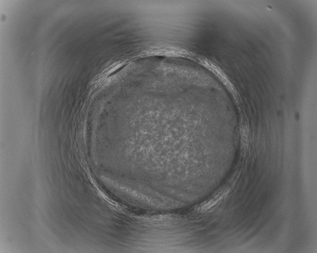 X0000085260433200703231719