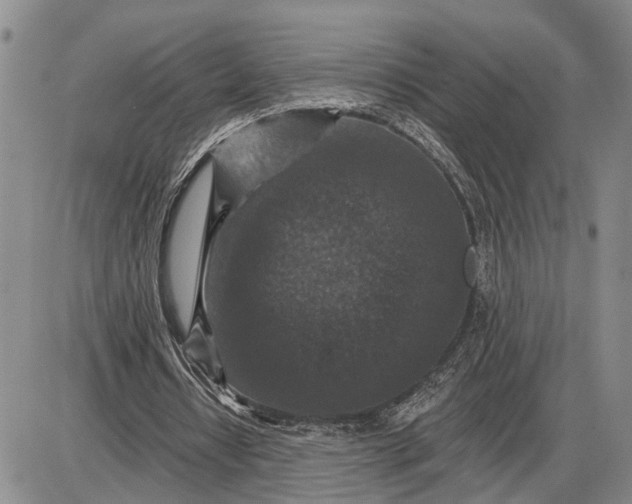 X0000085260434200703231719