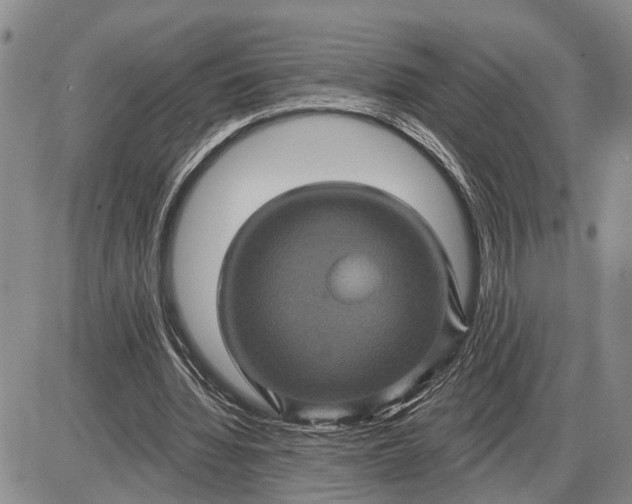 X0000085260436200703231719