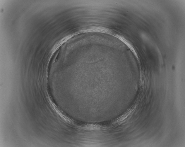 X0000085260437200703231719