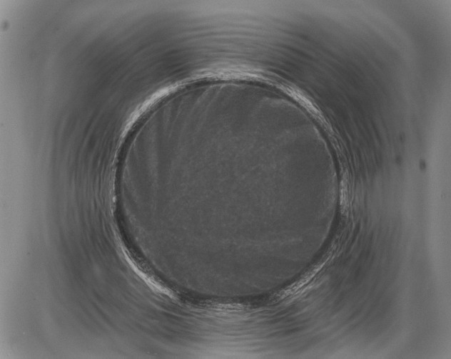 X0000085260438200703231719