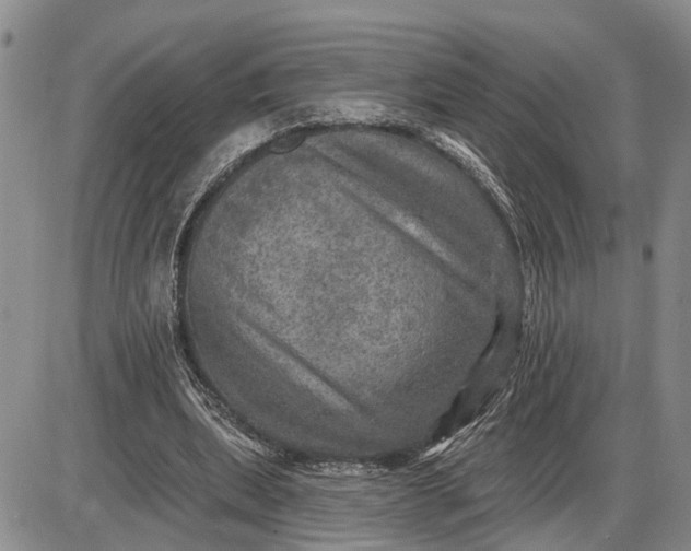 X0000085260439200703231719