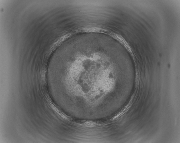 X0000085260441200703231719