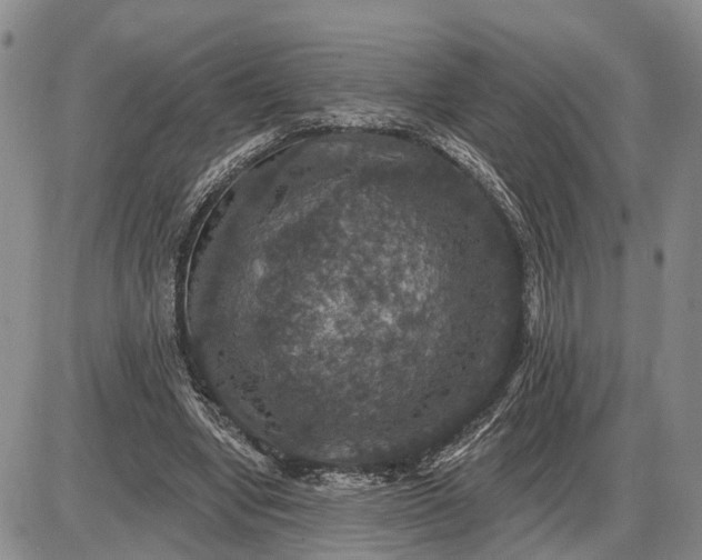 X0000085260442200703231719