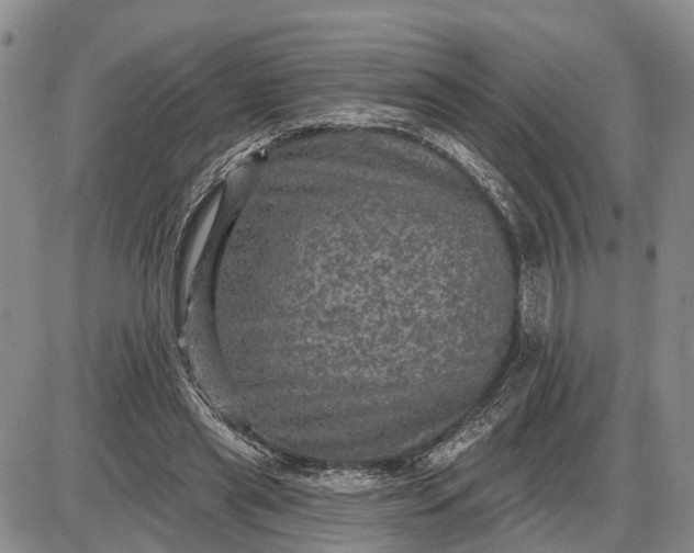 X0000085260445200703231719