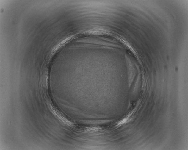 X0000085260446200703231719