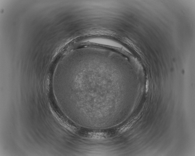 X0000085260448200703231719