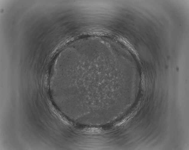 X0000085260449200703231719