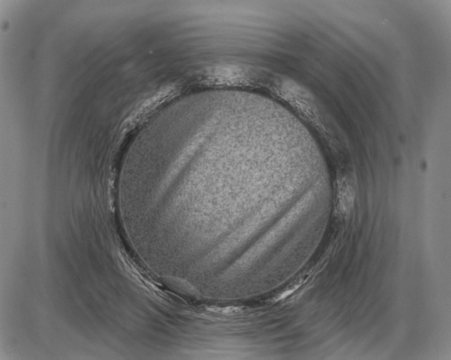 X0000085260450200703231719