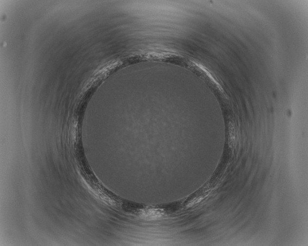 X0000085260451200703231719