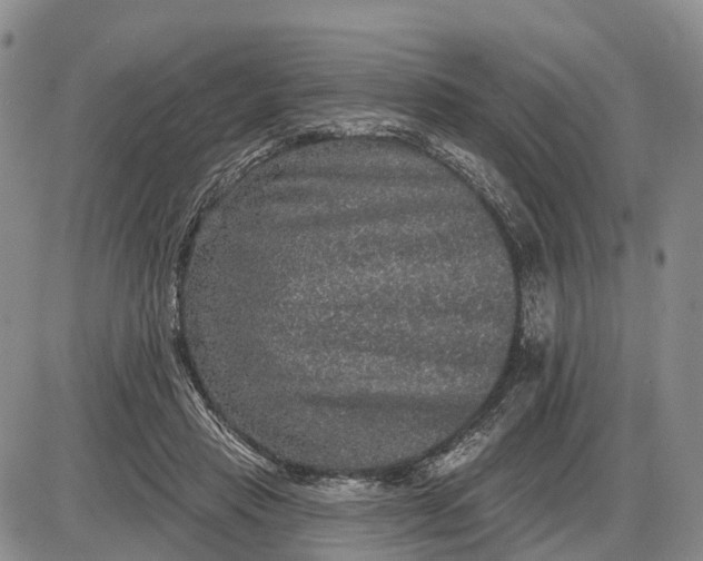 X0000085260453200703231719