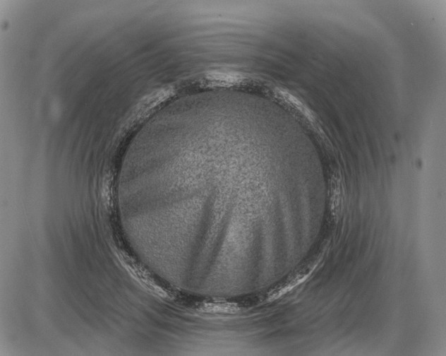 X0000085260455200703231719