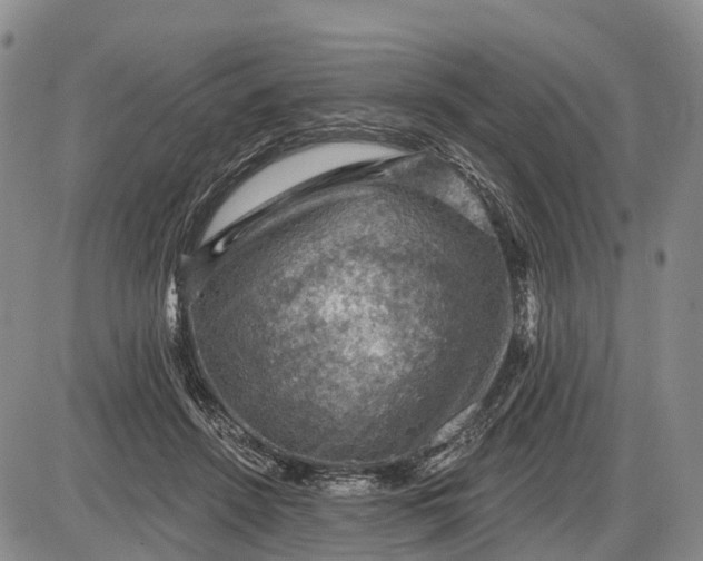 X0000085260456200703231719