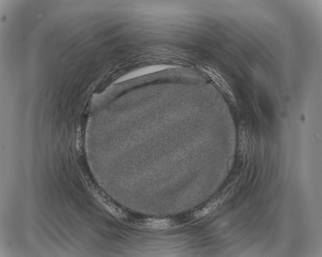 X0000085260457200703231719